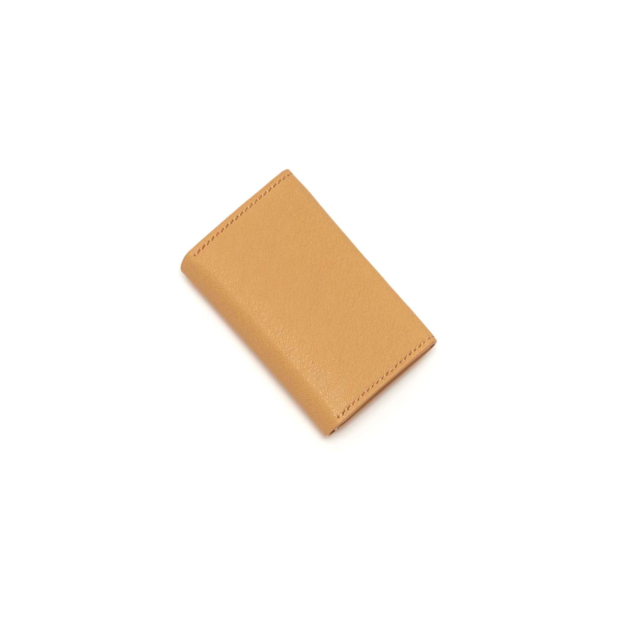 THIN - FLAP CARD&COIN CASE